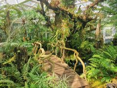 -昆明植物园