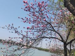 -尚湖风景区
