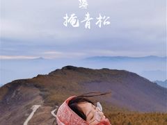 -白草畔自然风景区