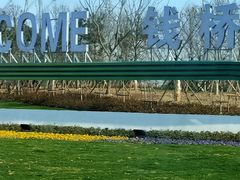 -田园东方蜜桃村的田野营地