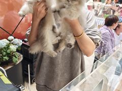 -中粮·祥云小镇