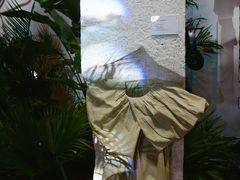 -精绝七日-新疆尼雅遗址数字大展【拉法耶文化艺术中心】