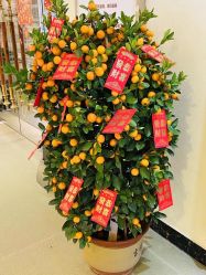 -熹月国际月子会所(天河店)