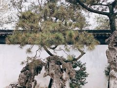 -拙政园