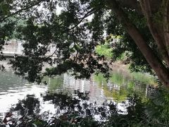 -荔湾湖公园