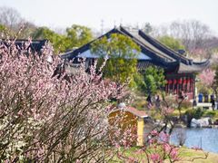 -上海海湾国家森林公园