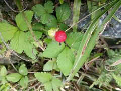 -夏霖九天银瀑风景区
