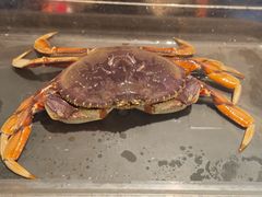 -珍宝海鲜JUMBO Seafood(尚嘉店)