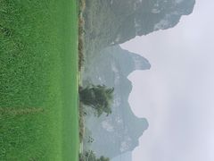 -明仕田园