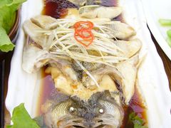 魚燉豆腐-真爱中国餐馆·年华店(朱雀大街店)