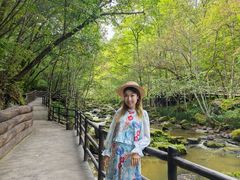 -茅兰沟国家森林公园
