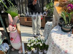 -京北渔家傲