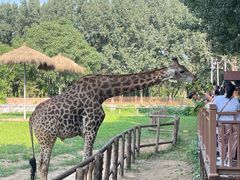 -北京野生动物园