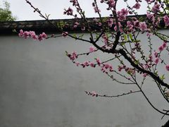 -乌山风景区