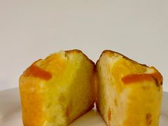 -猫里有甜