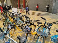 -四川大学(华西校区)