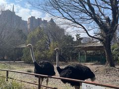 -南昌动物园