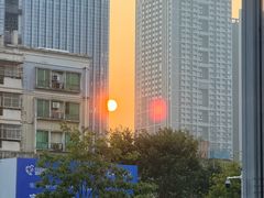 -光明刘冰乳鸽店(光明法政北路店)