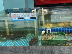 -友鹏海鲜(新宜白大道店)