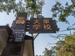 -野象谷景区