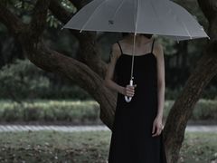 -南沙蒲洲花园