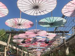 -呀路古热带植物园