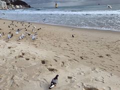 -海云台海滩