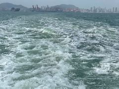 -招商蛇口邮轮母港(观光客运)