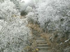 -九峰山
