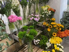 -植物学家的女儿(北马道巷店)