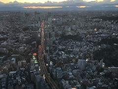 -六本木新城展望台(东京城市景观)