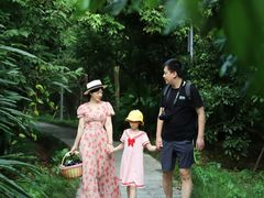 -福建鲤鱼洲酒店