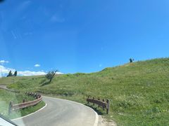 -新疆那拉提国家旅游度假区