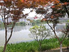 -桃花岭景区