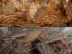 -沈家门海鲜夜排档(东港店)