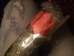 -枫花园汽车电影院(朝阳公园店)