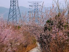-定都阁