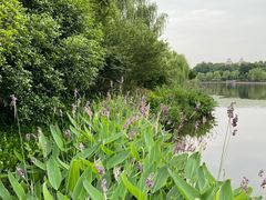 -杭州城北体育公园