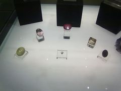 -中华赏石园