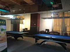 -丁俊晖台球俱乐部(海上海·弘基休闲广场店)