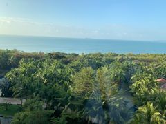 -三亚湾海居铂尔曼度假酒店