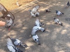 -加泰罗尼亚广场