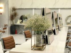 -潘多拉Hairsalon