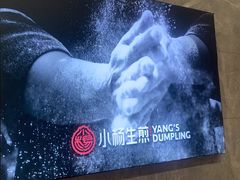 -小杨生煎(白玉兰广场店)
