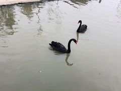 -琅岐红光湖公园