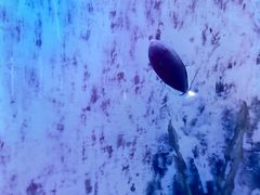 -江和美海洋公园