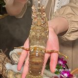 和牛寿喜烧天花板，轻松实现美食盛宴