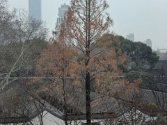 -行者书屋大堂吧 ·下午茶(南京圣和府邸酒店)