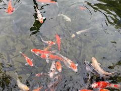 -鹅公村·国家非遗传承(荔湾店)