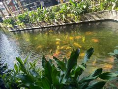 -新灿记大酒楼